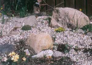 alpine garden